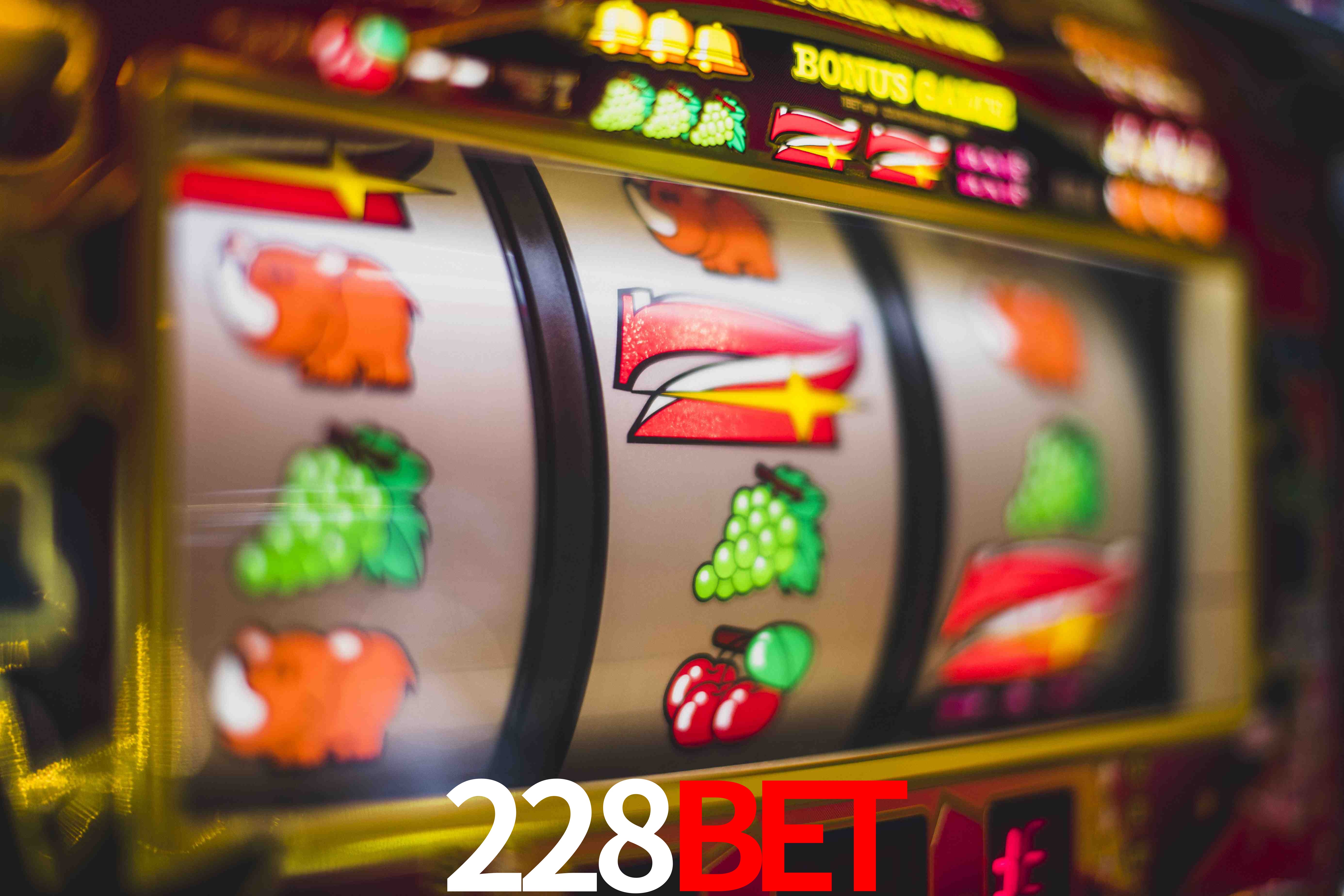 Live Casino 228bet